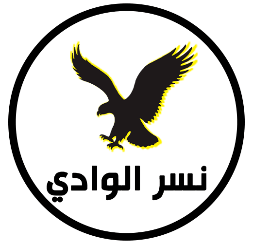 شركة السيف للشحن الدولي‎